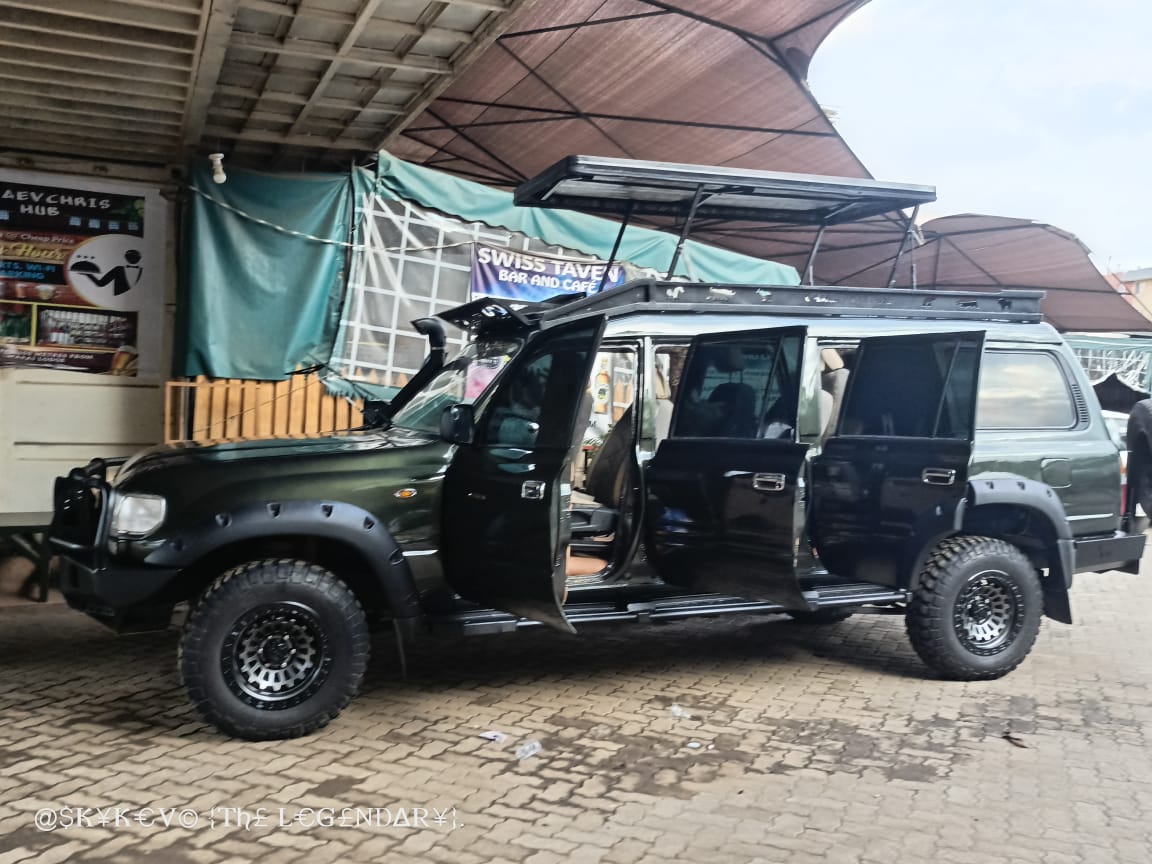 Safari wildlife
